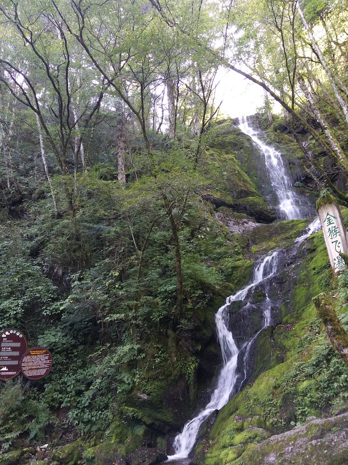 63b974895f30a.jpg 18.jpg